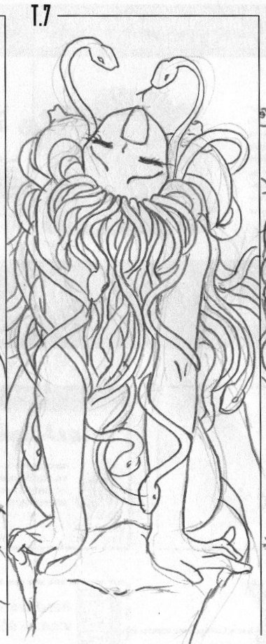 for have medusa snakes pubes does Fire emblem awakening say ri