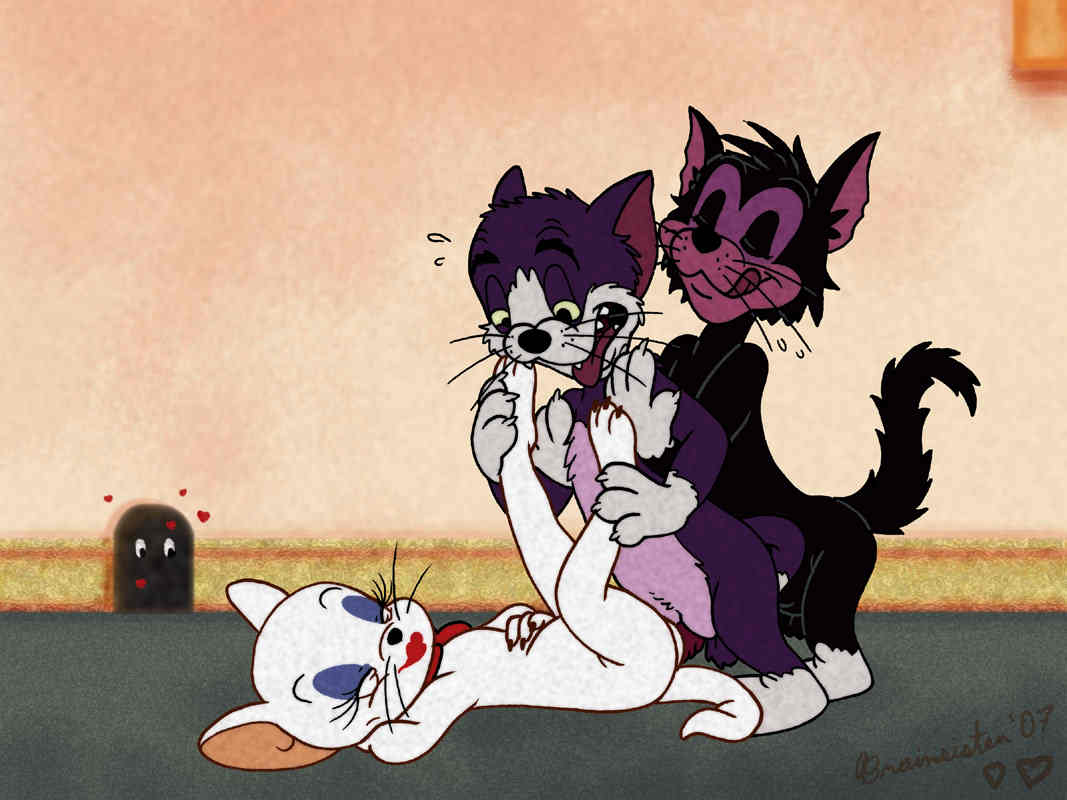 and tom bulldog and kitten jerry Meet 'n' fuck games