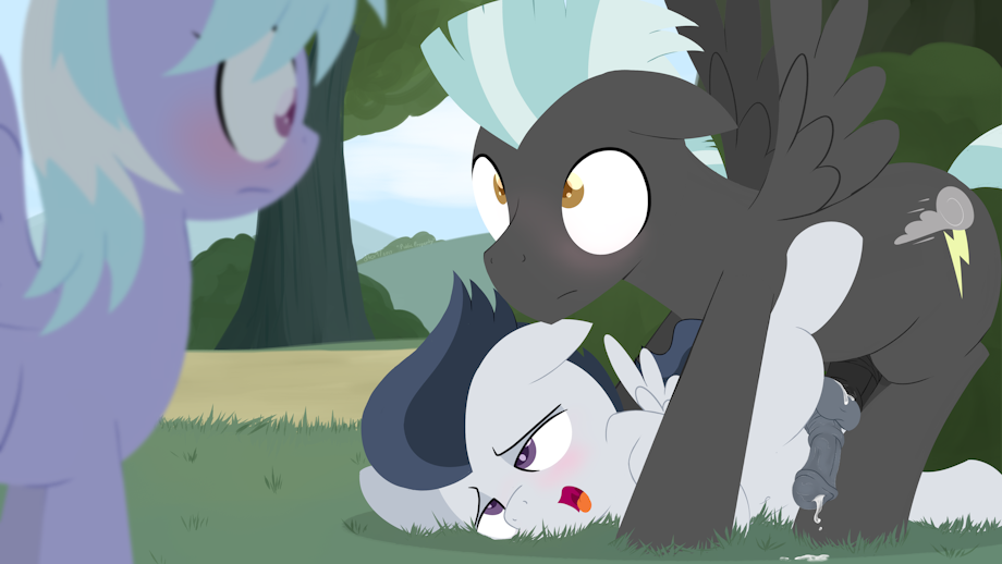 little gif pony anal my How to train your dragon cloudjumper