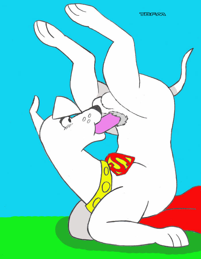 kevin and the krypto andrea superdog Star vs. the forces of evil kelly