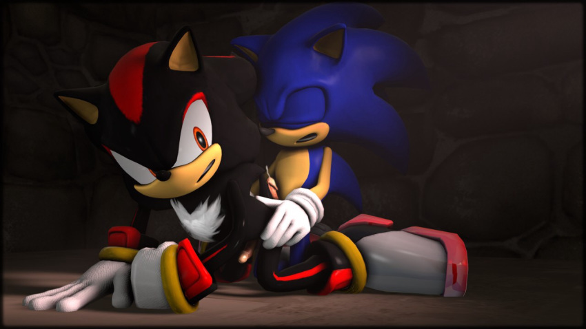 and the shadow knight hedgehog black the sonic Chica from five nights of freddy